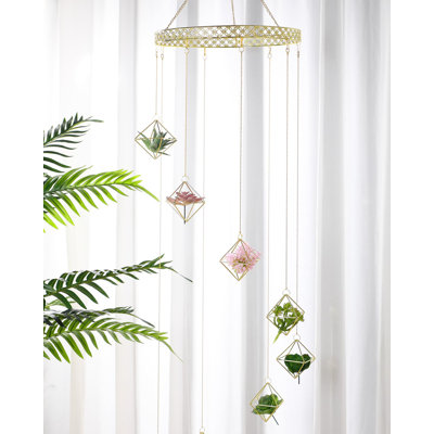 6 supports à plantes suspendus, supports à plantes Tillandsia dorés uniques, supports à plantes vivantes, présentoir en macramé fougère pour décoration murale de bureau intérieur