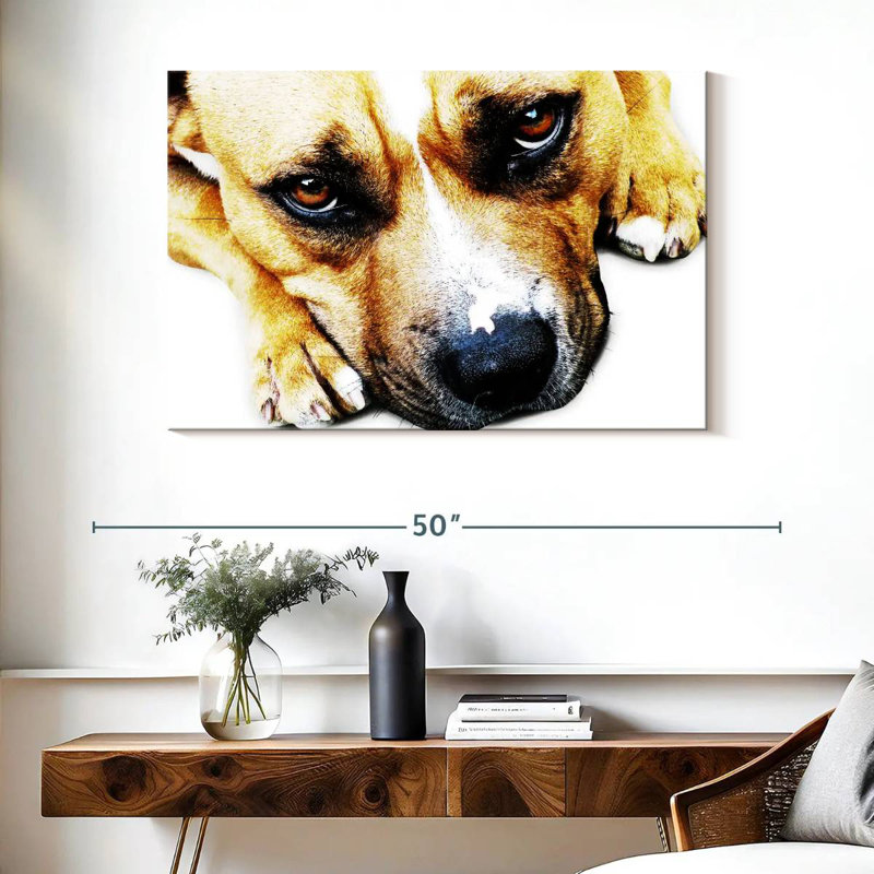 Bull-terrier aux yeux, H 26 po x l 39 po