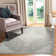 Pearisburg Oriental Viscose Area Rug