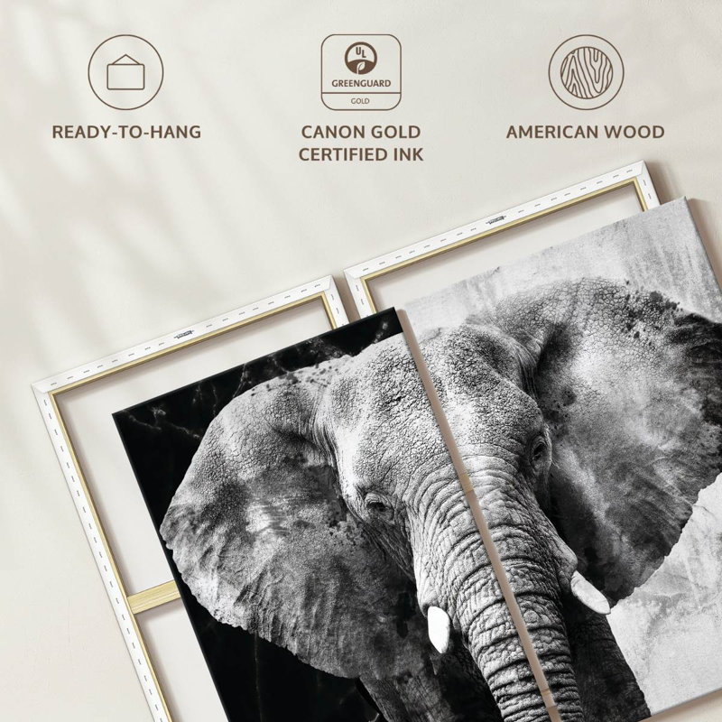 " Elephant Black And White " by BlackBlood Arts 2 - Pieces, 24" H x 33" W x 1.25" D