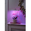 Tico Adjustable Wood USB Novelty Lamp