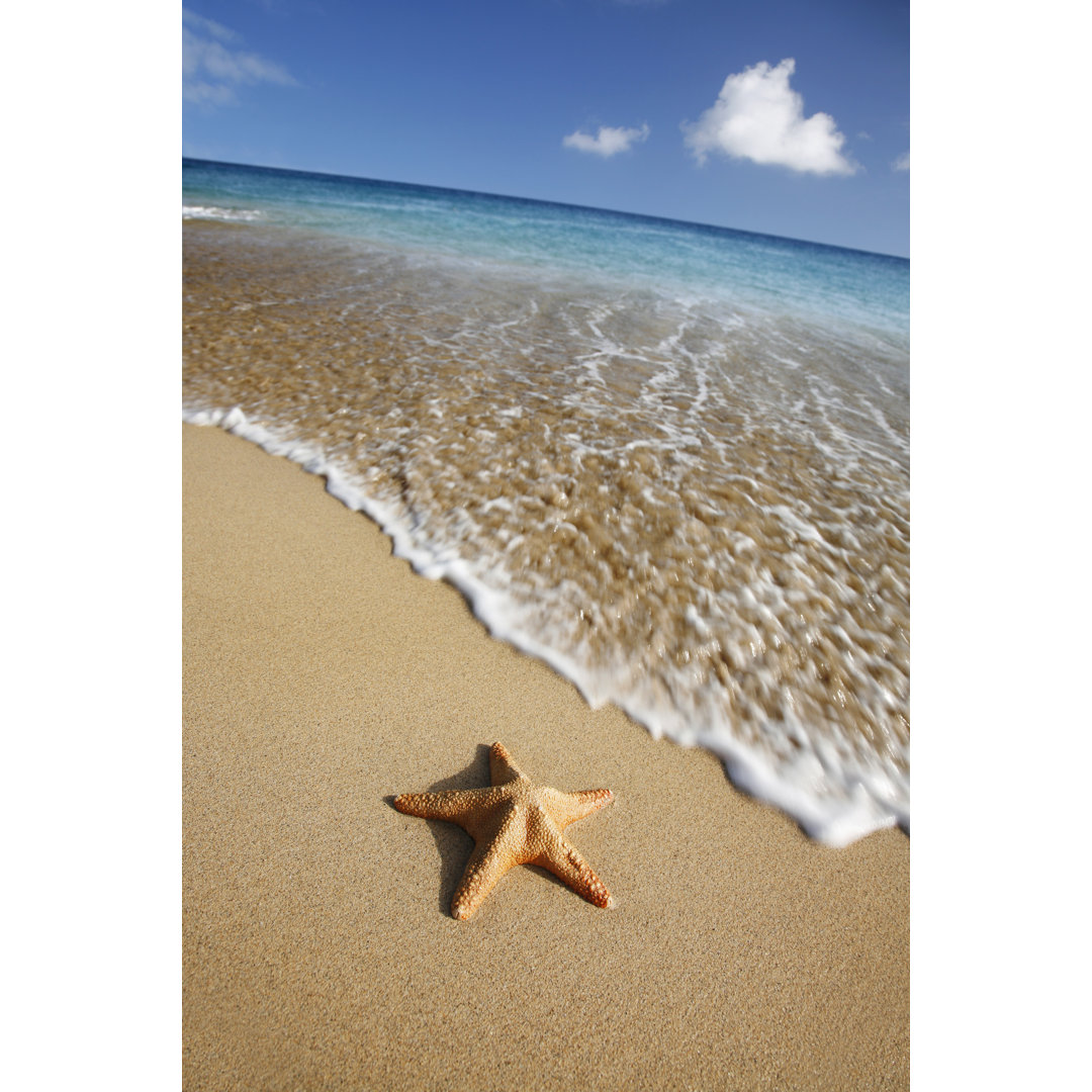 Strand Seestern - Leinwandbild