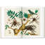 Seba Cabinet Of Natural Curiosities