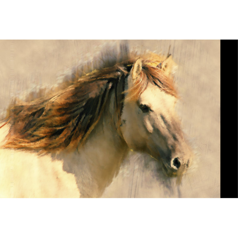 Cheval mélangé I, H 12 po x l 18 po
