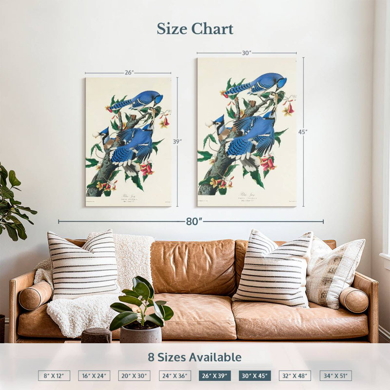 Brampt Blue Jay, 39" H x 26" W