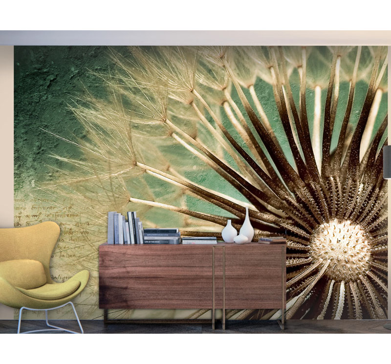 Focus on Dandelion 2.70m x 450cm Wallpaper, 300 cm x 231 cm