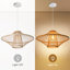 Hildale 1 - Light Novelty Pendant