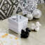 Animalia Poodle Salt and Pepper Shaker Set