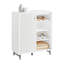 10 Pair Shoe Storage Cabinet