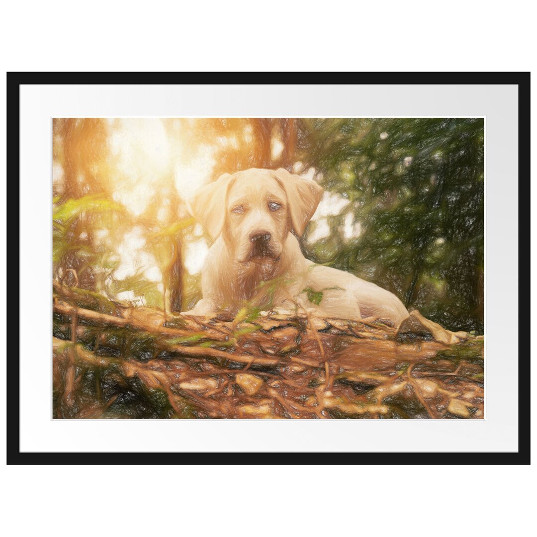 Gerahmtes Poster Hund im Wald bei Sonneuntergang