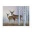 «Deer In Birch Woods» par Armstrong, impression sur toile tendue-27653193