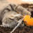 PETMAKER Cat Activity Center-126560713-126560712-126560711