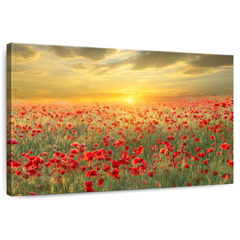 Alvord Poppy Meadow Sunset, H 20 po x l 30 po