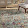 Mcintosh Savannah Performance Oriental Rug