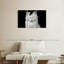 Chat blanc ravi-107947789