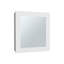 Armoire à pharmacie avec porte-miroir 20,5 po de hauteur avec deux tablettes intérieures pour la salle de bain, la cuisine et le vestibule Luma-884260291
