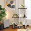 Plant Stand