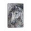 Grace by Debi Coules - Print on Canvas-50029274-56677884