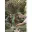 Bosque Earthenware Pitcher