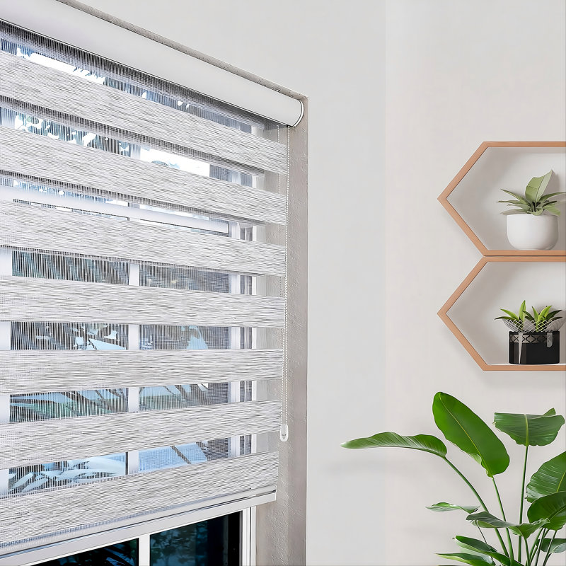 Zebra Blinds for Indoor Windows Roller Shade, 76"W x 78"L, Gris