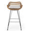 Endicott Wicker Outdoor 30'' Bar Stool with Cushion-1345957558-1439724632