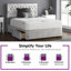 Fan Divan Bed Base-1586753313-1490776447-1490776422