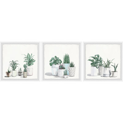 Urban Houseplants - ensemble de 3 cadres photo