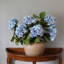 Double Hydrangea Faux Floral-1746310716