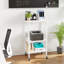 77cm H x 49cm W Printer Stand with Wheels-1079601040