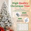 Christmas Tree-136164081