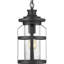 Lanterne suspendue d'extérieur 1 lumière H 16,25 po Pettiford-92430567