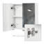 Casmer Surface Mirrored Bathroom Cabinets with Mirror and 1