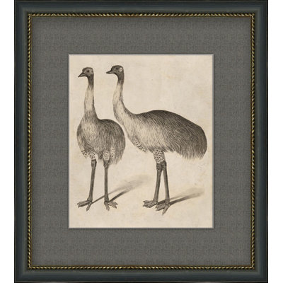 Antique " Antique Ostrich " Painting Print