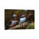 Puffins by Mateusz Piesiak - Wrapped Canvas Gallery-Wrapped Canvas Giclée
