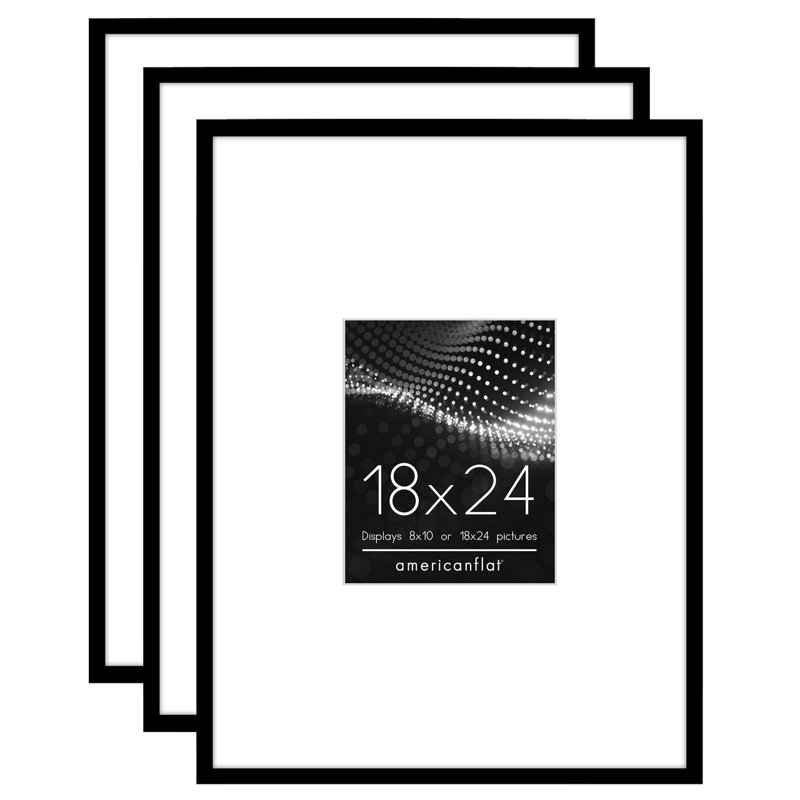 18x24 Poster Frame - Use as 8x10 Frame with Mat or 18x24 Frame Without Mat - Black