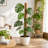 4 Pack 16'' Stackable Coco Coir Moss Poles for Climbing Plants