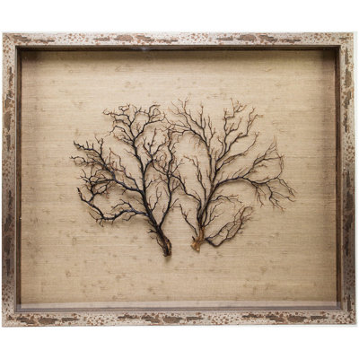 Sealife Print
