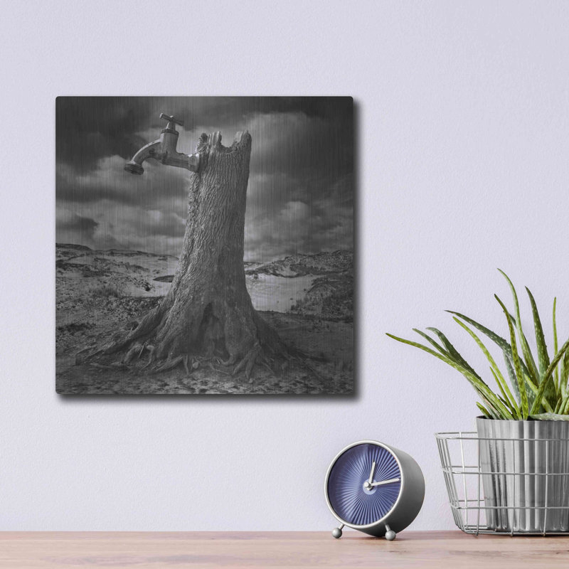 " Dry " by Dariusz Klimczak, 12" H x 12" W