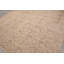 Indoor / Outdoor Rug