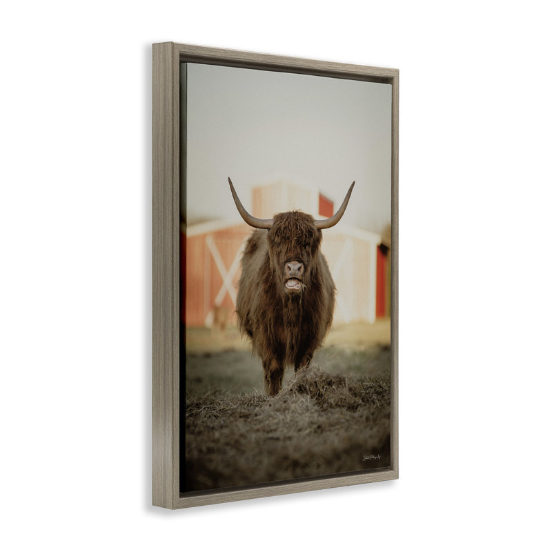 Bétail sur une ferme par Dakota Diener, H 31 po x l 21 po, Cadre flottant orme Montalcino