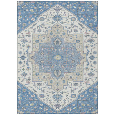 Machine Washable Indoor/Outdoor Chantille ACN2533 Traditional Rug