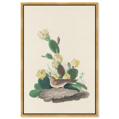 «Prickly Pear Perch», reproduction d'art sur toile par Art Remedy