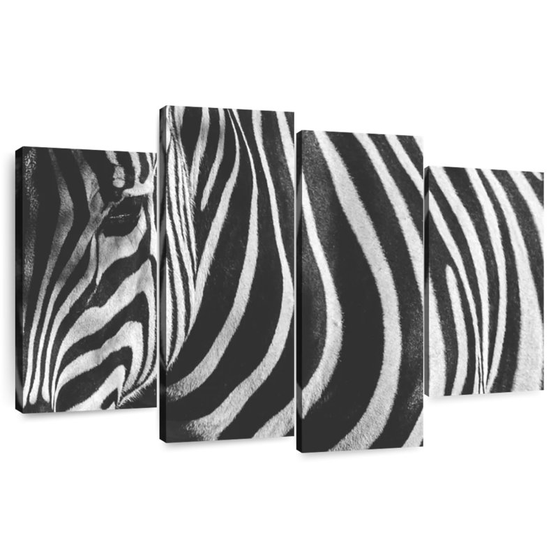 Ronce de zèbre monochrome, H 54 po x l 84 po