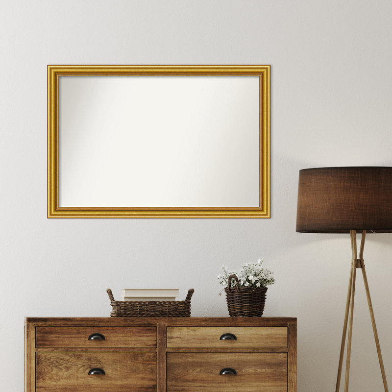 Townhouse Gold Non-Beveled Bathroom Wall Mirror, 28,75 po x 41,75 po