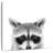 Brampt Peeking Raccoon-109228687