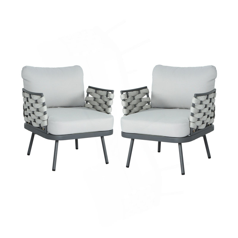 Ensemble de 2 fauteuils club Mariano, Gris, Gris