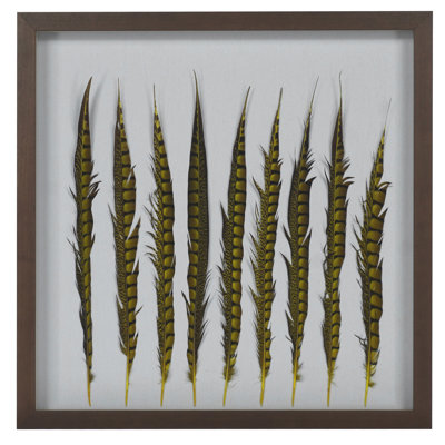 Boîte murale décorative Pheasant Feather