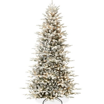 Lighted Christmas Tree