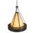 Obsidian 12 - Light Oil Rubbed Bronze Unique/Statement Pendant