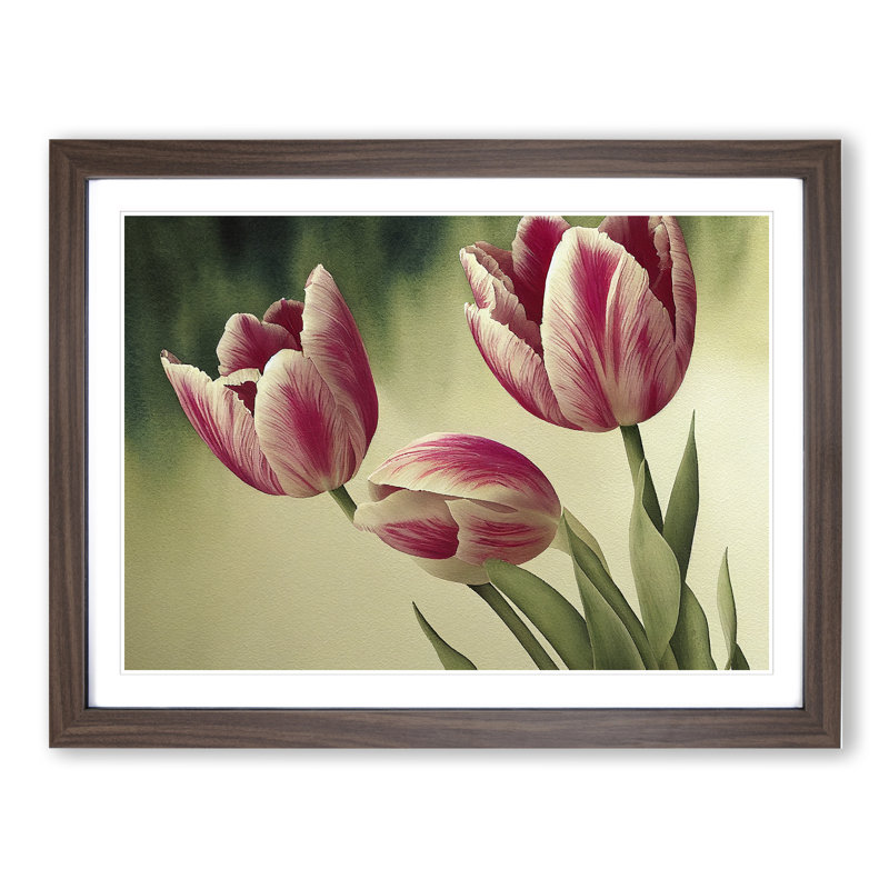 Spectacular Tulip Flowers - Single Picture Frame Print, 34cm H x 46cm W, Walnut Frame